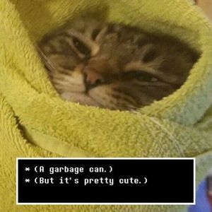 Meet your Posher, Malcolm